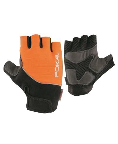 Entry Level Gloves