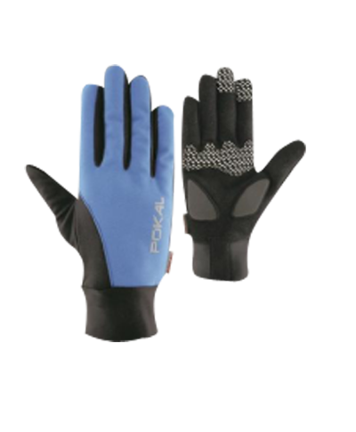 Winter Gloves