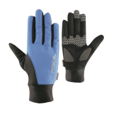 Winter Gloves