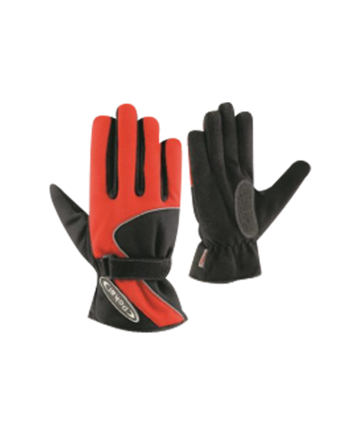 Winter Gloves
